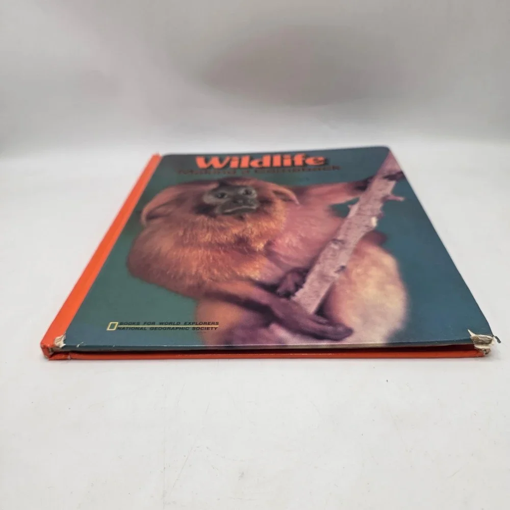 National Geographic Wildlife Making a Comeback Hardcover Book Nature